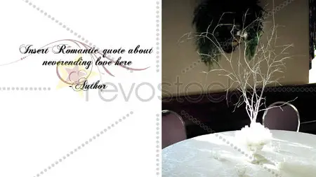 Wedding Classic Album - Project for After Effects (Revostock)