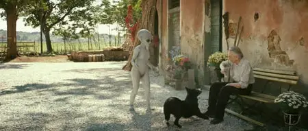 L'ultimo Terrestre (2011)