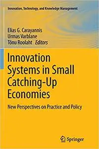 Innovation Systems in Small Catching-Up Economies: New Perspectives on Practice and Policy