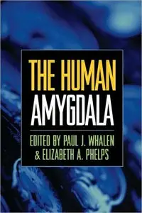 The Human Amygdala (repost)