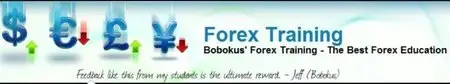 Bobokus Forex Training Program