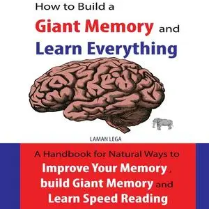 «How to Build a Giant Memory and Learn Everything» by Hayden Kan