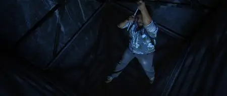 The Blackout (2009)