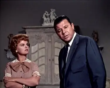 La chatte sur un toit brulant (1958)