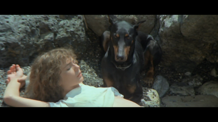 Bestialita' / Dog Lay Afternoon (1976) [ReUp]