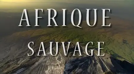 (Fr2) Afrique sauvage (2013)