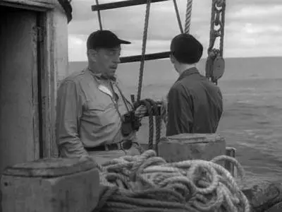 Killer Shark (1950)
