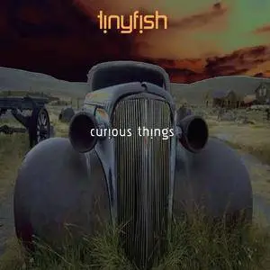 Tinyfish - Curious Things (2009)