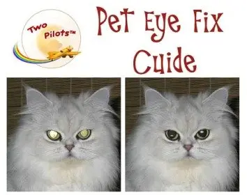 Pet Eye Fix Guide 1.3.1