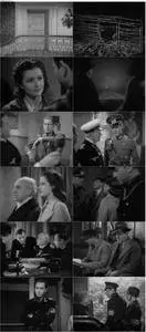 Night Train to Munich (1940) [The Criterion Collection]