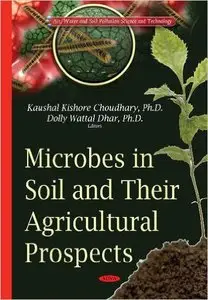 Microbes in Soil and Their Agricultural Prospects