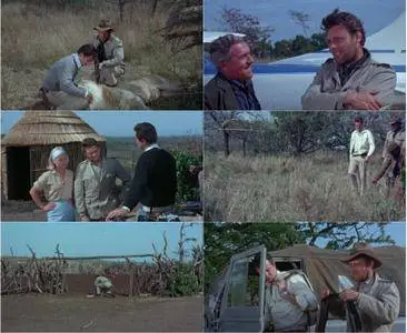 Rhino! (1964)