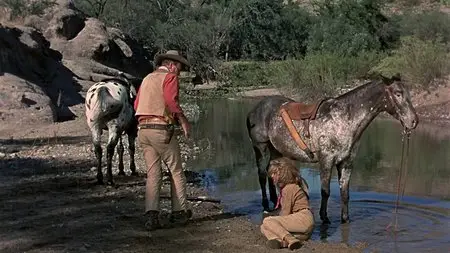 El Dorado (1966)