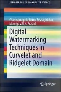 Digital Watermarking Techniques in Curvelet and Ridgelet Domain