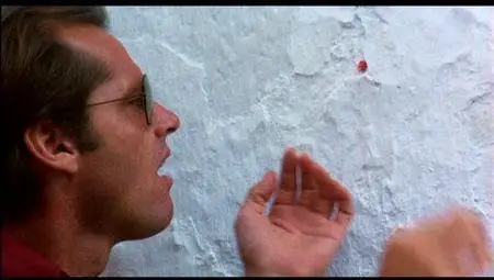 Michelangelo Antonioni-Professione: reporter (1975) (Reupload)