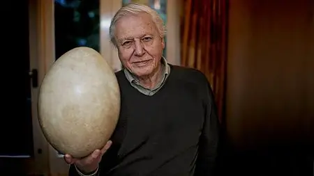 BBC - Attenborough and the Giant Egg (2011) (Repost)