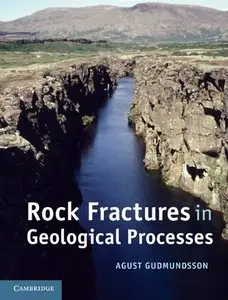Rock Fractures in Geological Processes (Repost)