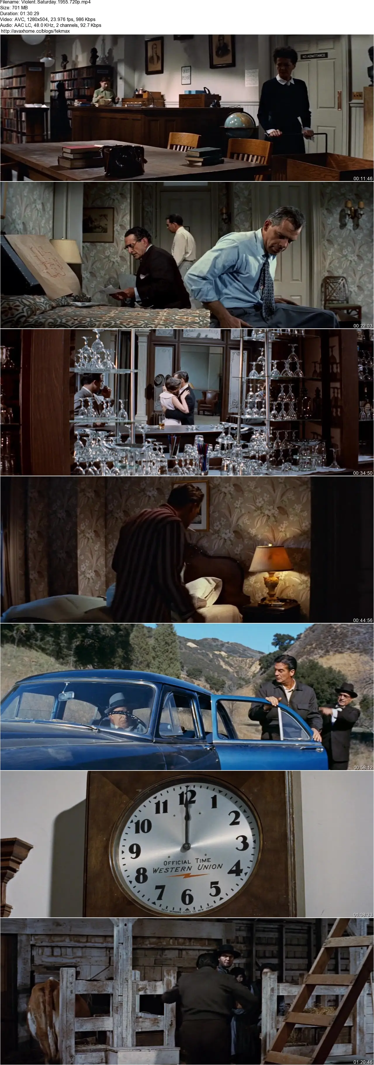 Violent Saturday (1955)