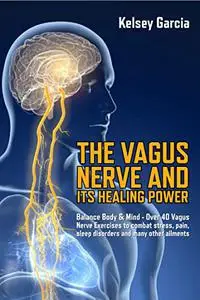 The Vagus Nerve And Its Healing Power