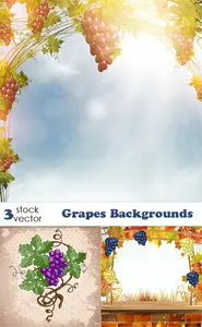 Vectors - Grapes Backgrounds
