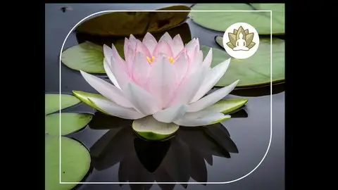 Health & Wellness With Ayurveda