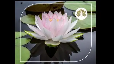 Health & Wellness With Ayurveda