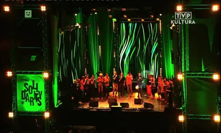 McFerrin+ - Festiwal Solidarity of Arts 2013 [SATRip]