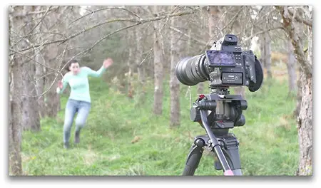 Lynda - Cinematic Composition for Video Productions
