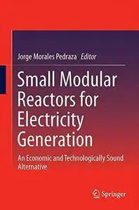 Small Modular Reactors for Electricity Generation: An Economic and Technologically Sound Alternative (repost)