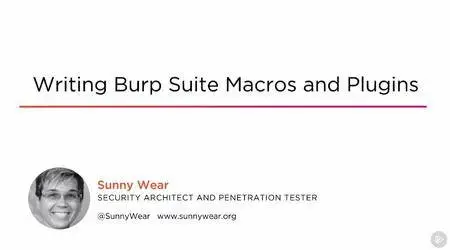 Writing Burp Suite Macros and Plugins