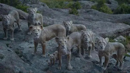 The Lion King (2019)