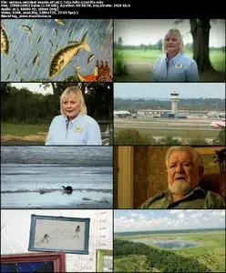 Natures Weirdest Events S01E02
