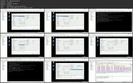 Ethical Hacking: Social Engineering und erweiterte Angriffe