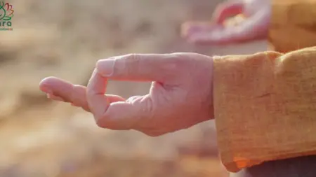 Himalayan Meditation Course