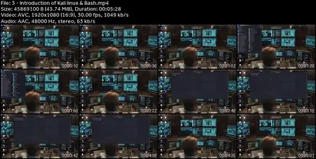 Hacking Essentials: Bash Scripting for Cybersecurity Warrior
