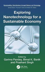 Exploring Nanotechnology for a Sustainable Economy (Sustainability: Contributions through Science and Technology)