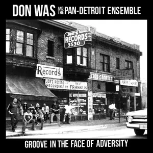 Don Was - Groove In The Face Of Adversity (2025) [Official Digital Download 24/96]