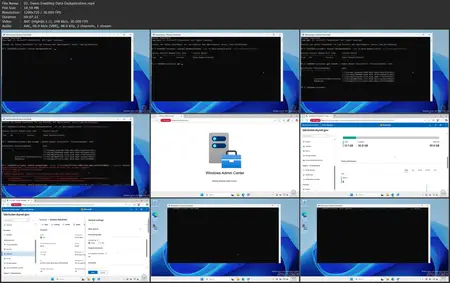 Windows Server 2025: Storage Solutions and Management