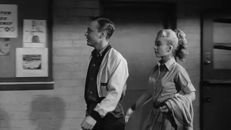 Earth vs. the Spider (1958)