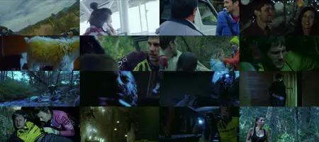 Downhill (2016)