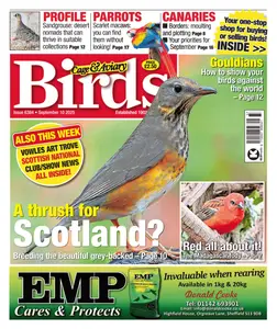 Cage & Aviary Birds - 10 September 2025