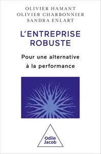 L'Entreprise robuste: Pour une alternative à la performance