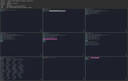 Bash Parameter and Shell Expansions