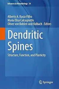 Dendritic Spines: Structure, Function, and Plasticity