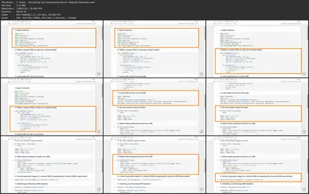 Deep Learning Model Explainability