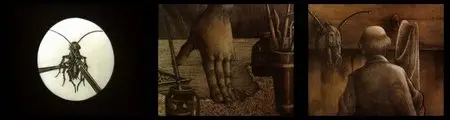 Animation Collection