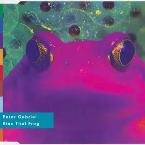 Peter Gabriel: Singles Collection (1986 - 2003)
