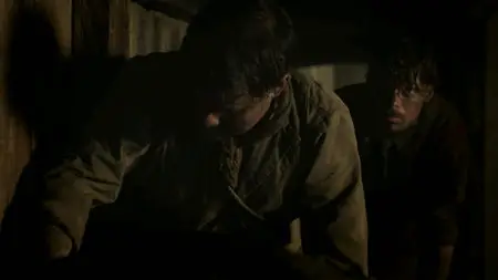 Birdsong (2012)