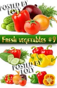 Fresh vegetables #9 - Stock Photo