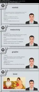 Perfect English Vocabulary Builder 2 - Speak Better English